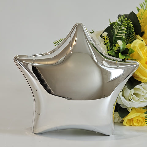 SW-STAR-25 Silver