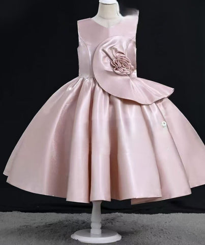 LD/VA469 Rose