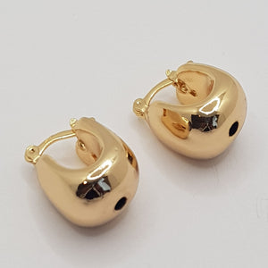 BZE1479 Gold - Brazilian Earrings